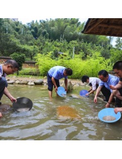 Plastic Gold Basin Nugget Mining Pan Dredging Prospecting River Tool